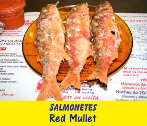Salmonetes