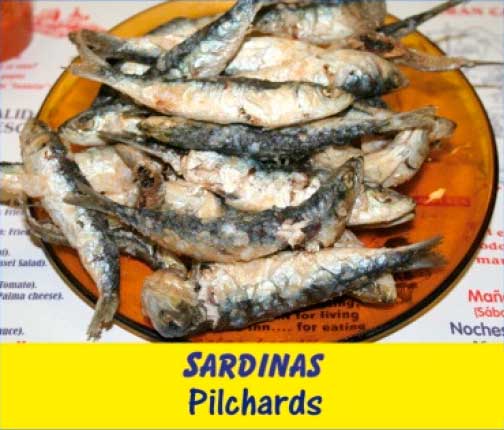 Sardinas